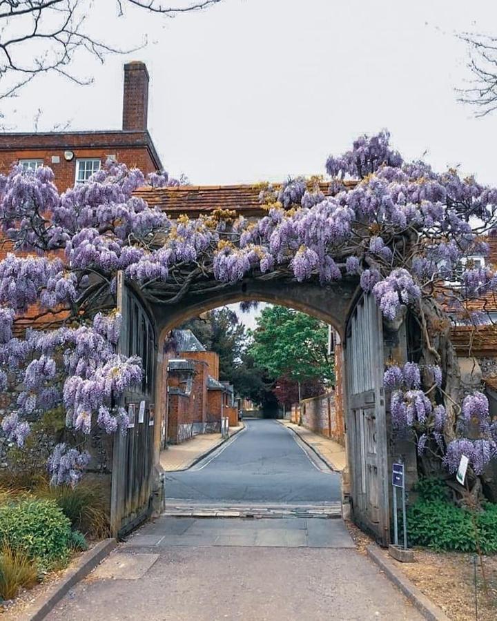 Winchester Retreat公寓 外观 照片